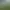 Image to Image AI effects generated image