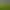 Image to Image AI effects generated image
