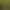 Image to Image AI effects generated image