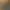 Image to Image AI effects generated image