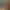 Image to Image AI effects generated image