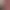 Image to Image AI effects generated image