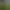 Image to Image AI effects generated image