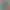 Image to Image AI effects generated image