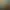 Image to Image AI effects generated image