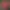Image to Image AI effects generated image