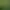 Image to Image AI effects generated image