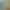 Image to Image AI effects generated image
