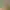Image to Image AI effects generated image