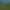 Image to Image AI effects generated image