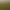 Image to Image AI effects generated image