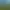 Image to Image AI effects generated image