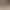 ImageEditor AI effects generated image