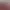 Image to Image AI effects generated image