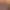Image to Image AI effects generated image