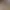 Image to Image AI effects generated image