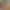 Image to Image AI effects generated image