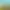 Image to Image AI effects generated image