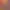 Image to Image AI effects generated image