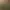 Image to Image AI effects generated image