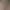 Image to Image AI effects generated image