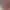 Image to Image AI effects generated image