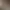 Image to Image AI effects generated image