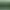 Image to Image AI effects generated image