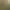 Image to Image AI effects generated image