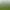 Image to Image AI effects generated image