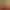 Image to Image AI effects generated image