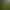 Image to Image AI effects generated image