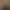 Image to Image AI effects generated image