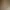 Image to Image AI effects generated image