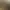Image to Image AI effects generated image