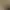 Image to Image AI effects generated image