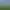 Image to Image AI effects generated image
