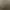 Image to Image AI effects generated image