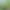 Image to Image AI effects generated image