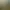 Image to Image AI effects generated image