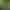 Image to Image AI effects generated image