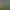 Image to Image AI effects generated image