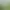 Image to Image AI effects generated image