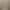 Image to Image AI effects generated image