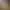 Image to Image AI effects generated image