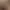 Image to Image AI effects generated image
