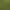 Image to Image AI effects generated image