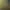 Image to Image AI effects generated image