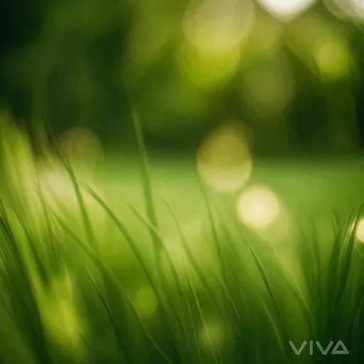 Image to Image
