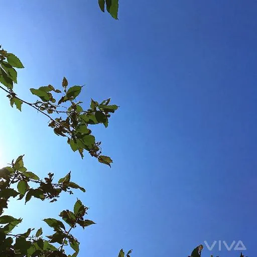 Image to Image